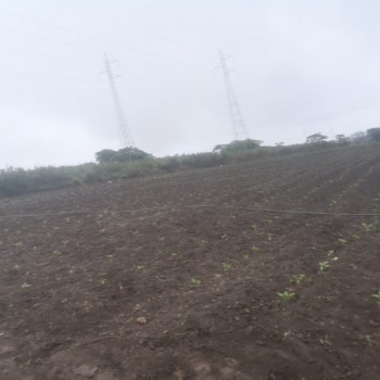 IMG-20190930-WA0008