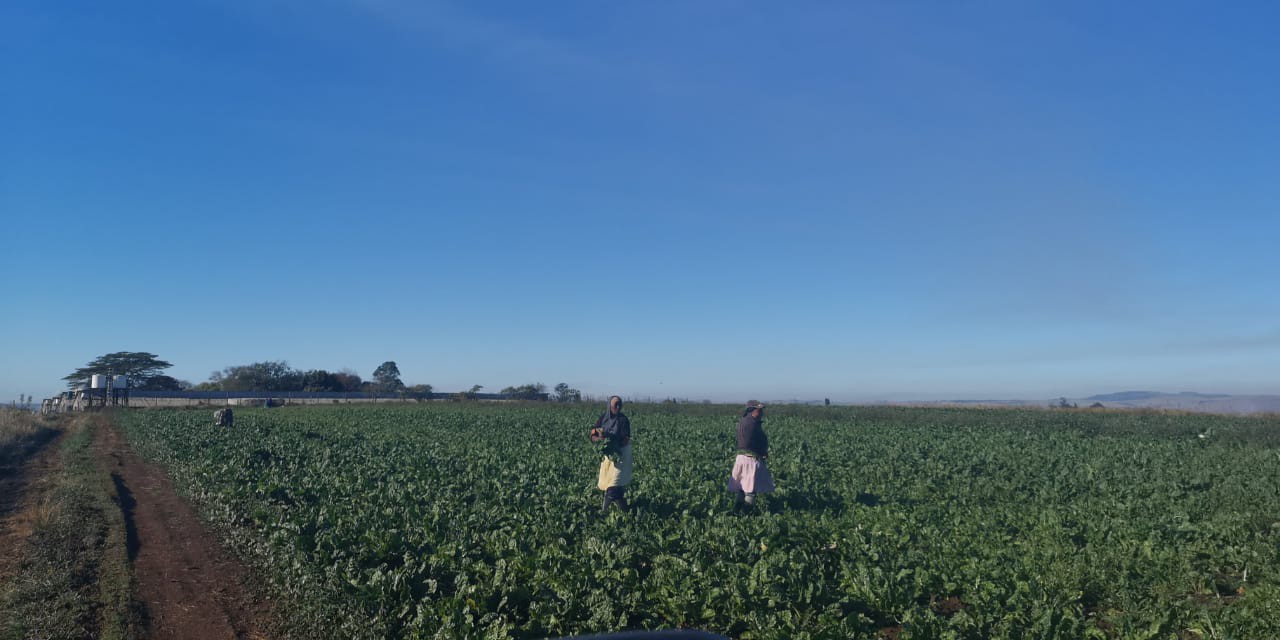 IMG-20190930-WA0036